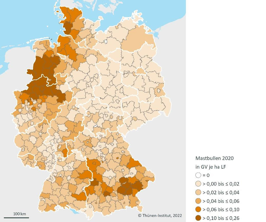 Grafik zu den Schwerpunkten der Bullenmast in Deutschland. Klick führt zu Großansicht im neuen Fenster. 