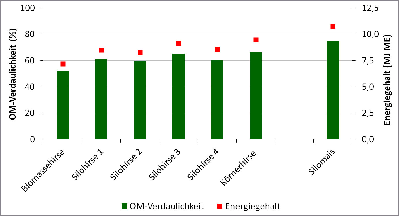 Klick führt zu Großansicht in neuem Fenster.