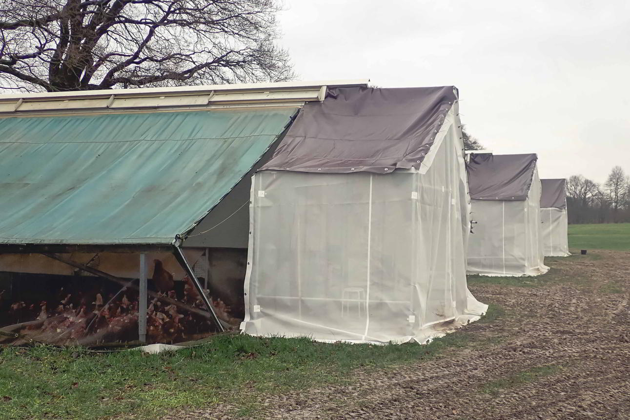 Zeltkonstruktionen vor einem Mobilstall fungieren als Übergangszone zwischen Schwarzbereich (frei zugängliche Stallumgebung) und Weißbereich (Stall, aktuelle Auslauffläche der Tiere).