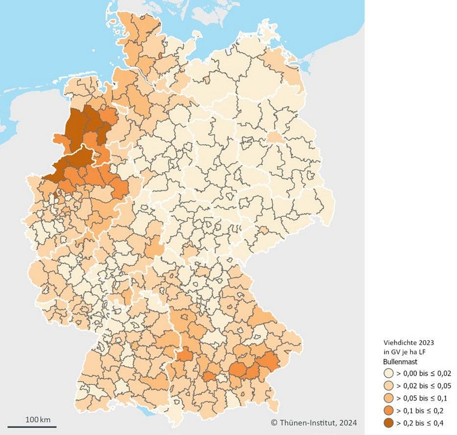Grafik zu den Schwerpunkten der Bullenmast in Deutschland. Klick führt zu Großansicht im neuen Fenster. 