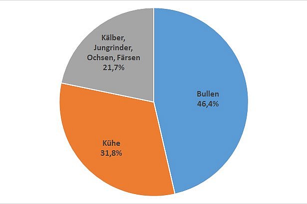 Diagramm Rindfleischproduktion in Deutschland. Klick führt zu Großansicht im neuen Fenster.