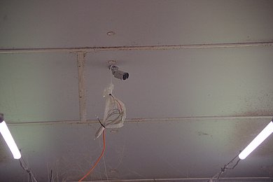 Eine Kamera ist an der Decke eines Schweinestalls installiert. Klick führt zu Großansicht in neuem Fenster.