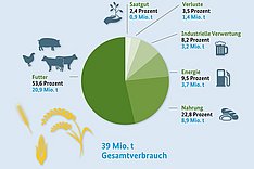 Grafik zum Getreideverbrauch in Deutschland 