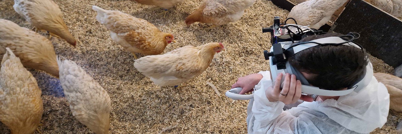 Sicht von oben: Mensch steht im Stall mit einer Virtual-Reality-Brille; links neben ihm sind Hühner zu sehen.