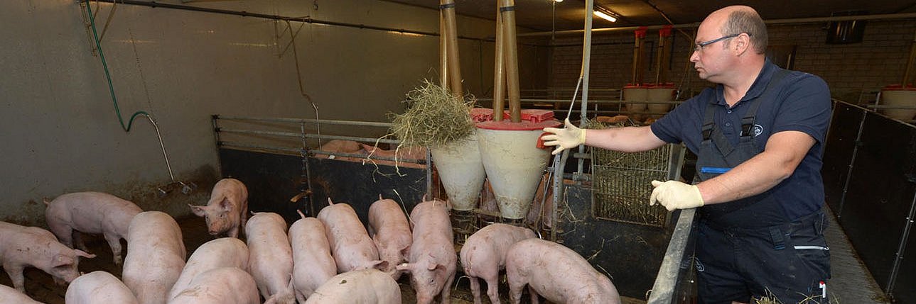 Landwirt Martin Knees bei seinen Tieren im Stall.