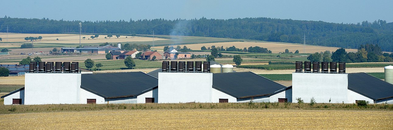 Abluftfilter vor neuen Schweineställen
