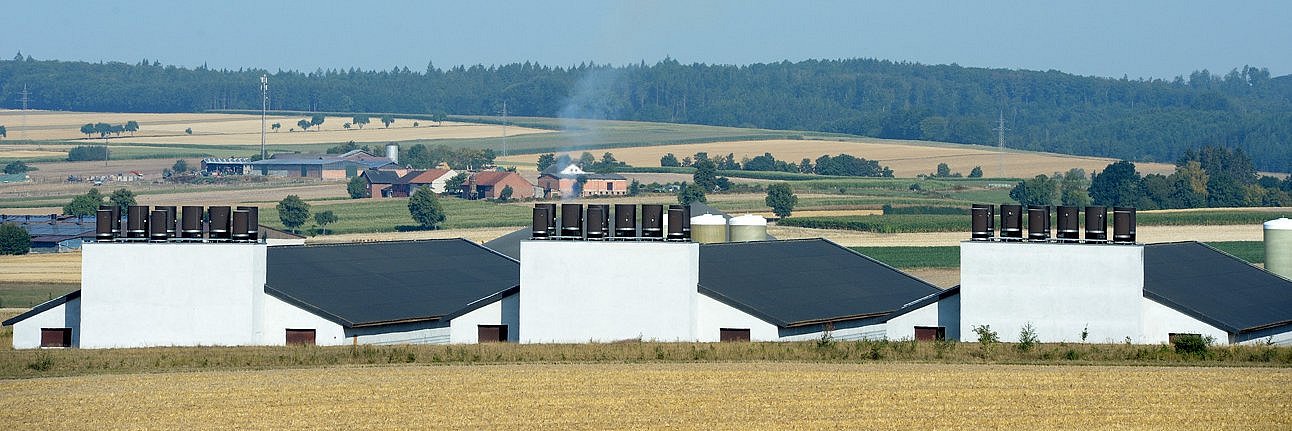 Abluftfilter vor neuen Schweineställen