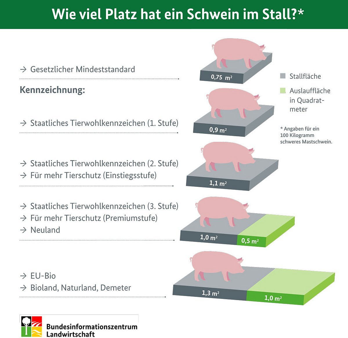 Grafik: Wie viel Platz hat ein Schwein im Stall? Klick führt zu Großansicht in neuem Fenster.