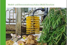 MuD-Tierschutz: Broschüre Beschäftigungsmaterial für Kälber 
