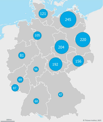 Grafik: Durchschnittliche Milchvieh-Bestandsgrößen in deutschen Bundesländern (2025). Bild: Thünen-Institut, 2025
