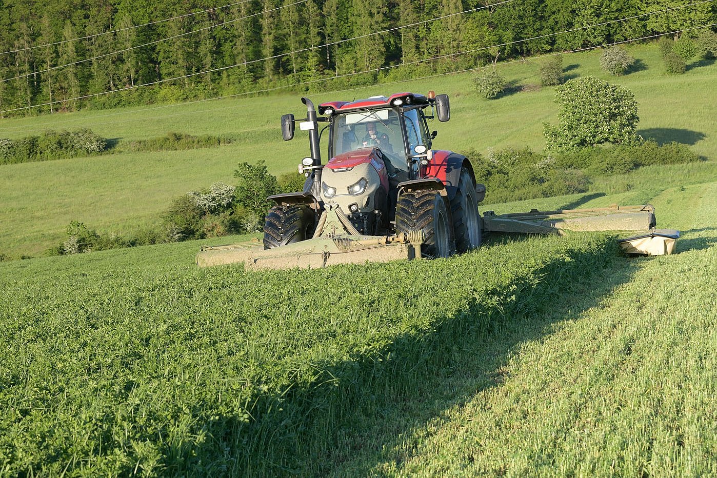 Ein Feld mit Luzernen wird geerntet. Klick führt zu Großansicht im neuen Fenster. 