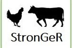 MuD Tierschutz: Abschlussveranstaltung im Projekt StronGer am 30. Oktober 2025