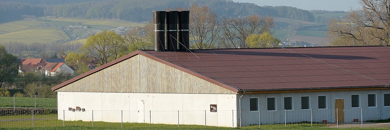 Blick auf einen modernen Schweinestall in Alleinlage.