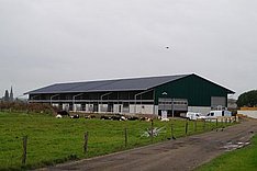 Haus Riswick mit "Tierwohl-Umwelt-Interaktionsstall“ für Milchkühe
