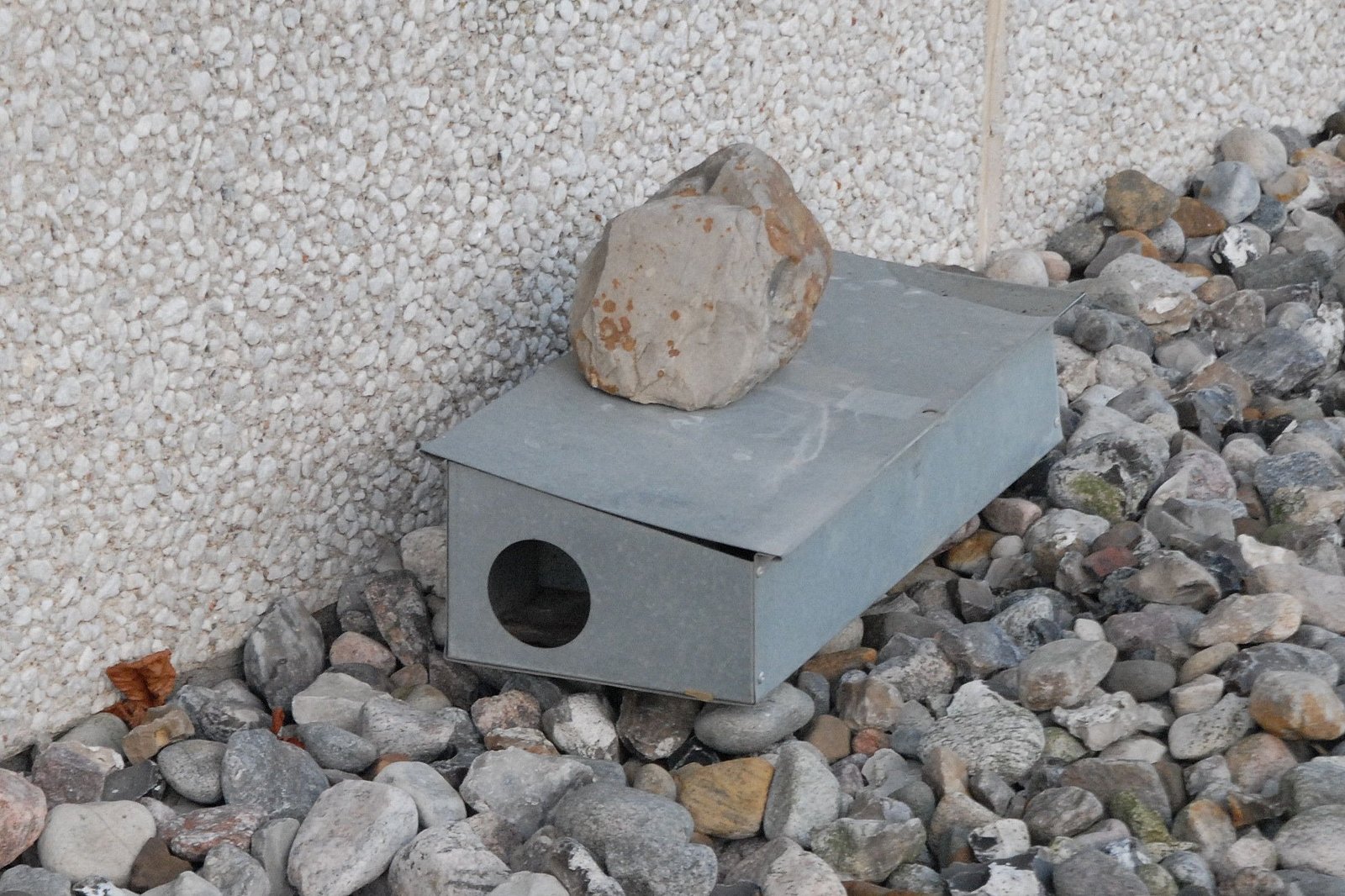 Mit Stein gesicherte Köderbox. Klick führt zu Großansicht im neuen Fenster. 