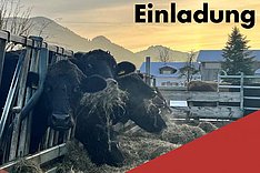 MuD Tierschutz: Online-Seminar Hofnahe Schlachtung