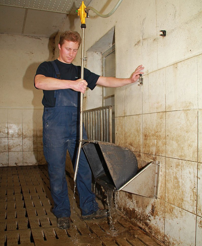 Landwirt reinigt Tränkebecken im Schweinestall.Klick führt zu Großansicht in neuem Fenster.