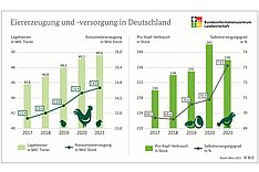 238 Eier pro Person: Verbrauch erstmals wieder rückläufig