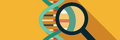 DNA-Doppelhelix unter einer Lupe