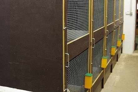 Konstruktion aus jeweils zwei übereinander angebrachten Einzelställe,