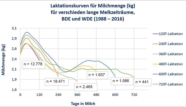 Grafik: Laktaktionskurven für Milchmengen für verschieden lange  Melkzeiträume. Klick führt zu Großansicht im neuen Fenster.