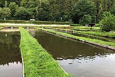 Aquakultur und Fischerei  in Deutschland