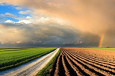 Zukunftskommission Landwirtschaft einigt sich auf Abschlussbericht