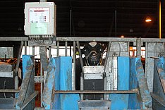 Im Bild ist ein Futterautomat mit Computergesteuerter Tiererkennung und Erfassung der Futtermenge über eine Waage zu sehen. Eine Kuh zieht gerade ihren Kopf zurück.
