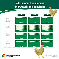 BZL-Infografik zur Legenhennenhaltung. Klick führt zu Großansicht im neuen Fenster. 