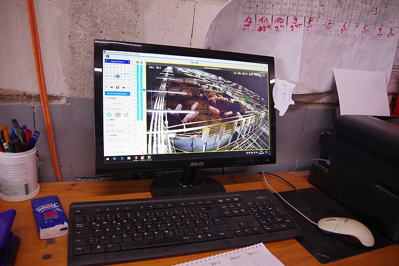 Ein Computerbildschirm zeigt Innenahmen eines Schweinestalls. Klick führt zu Großansicht in neuem Fenster.