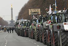 Bauerndemo. Klick führt zu Großansicht im neuen Fenster.