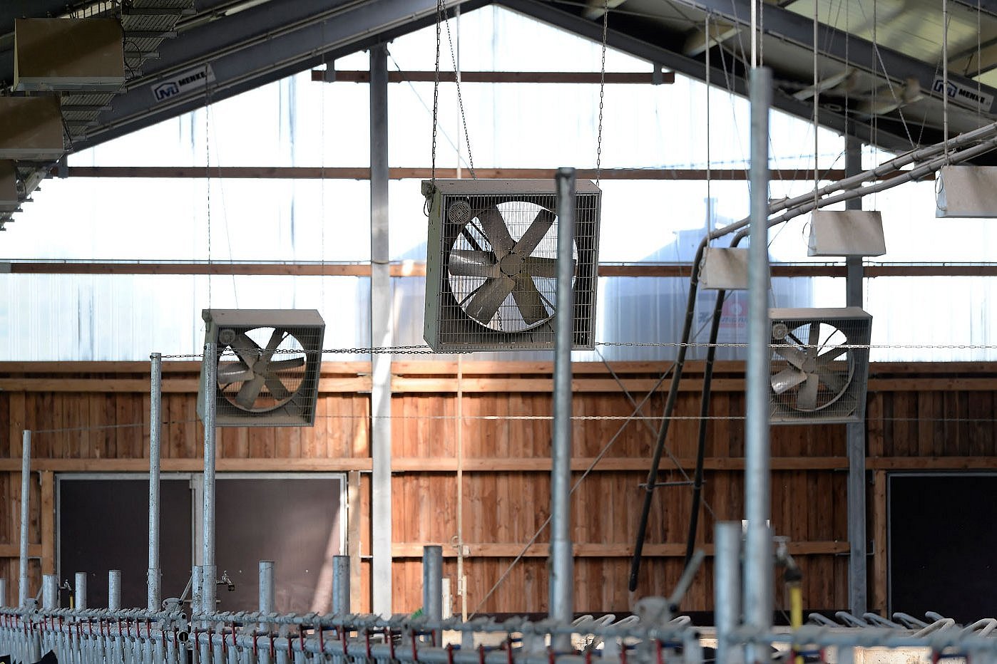 An der kurzen Seite eines Milchviehstalles sind Ventilatoren angebracht. Klick führt zu Großansicht im neuen Fenster. 