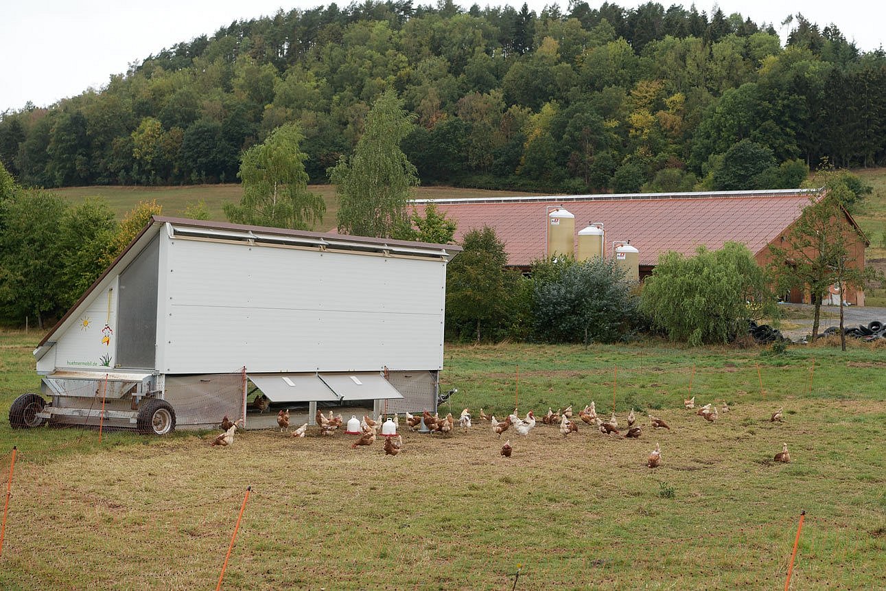 Auf einer Wiese steht ein Hühnermobil mit Hühnern davor. Klick führt zu Großansicht in neuem Fenster.