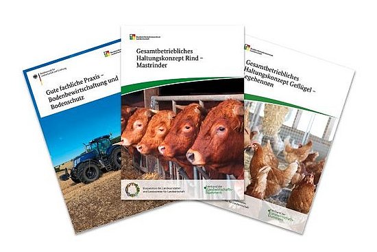 Collage aus 3 Titelbildern