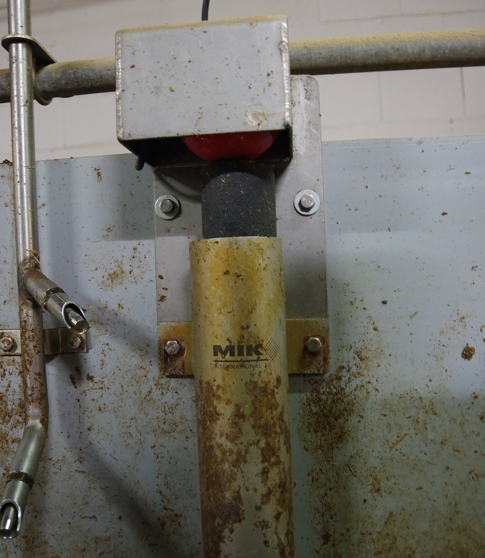 Ein an der Wand angebrachter Futterautomat. Klick führt zu Großansicht in neuem Fenster.