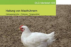 Aktualisiert: DLG-Merkblatt zur Haltung von Masthühnern