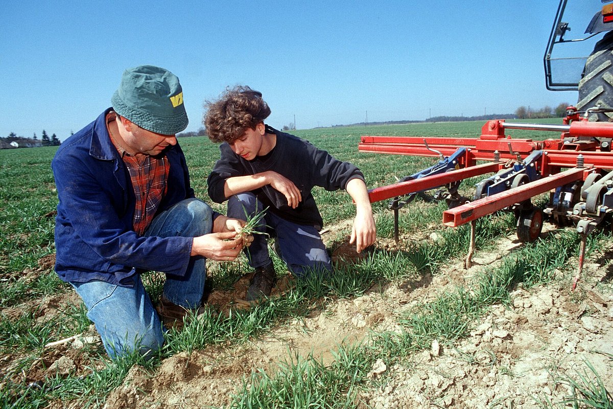 Ausbildung zum Landwirt: Beliebtheit steigt wieder