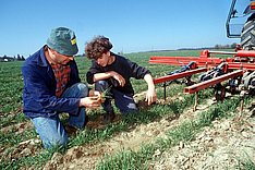 Ausbildung zum Landwirt: Beliebtheit steigt wieder