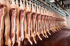 Fleischuntersuchung 2020: Anteil genussuntauglicher Schlachttiere gering