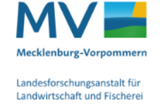 Rindfleischproduktion in Mecklenburg-Vorpommern 