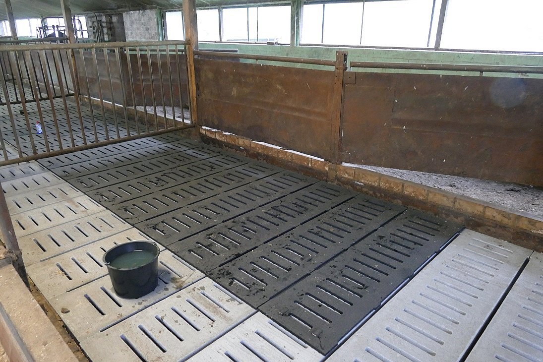 Eine leere Bucht für Rinder, die zur Hälfte mit einer Gummimatten ausgelegt ist. Im vorderen Bereich sieht man Betonspalten.