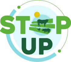 Logo Stepup