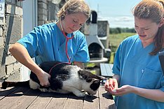 Gesundheitsstudie SHIP untersucht Menschen und ihre Haustiere