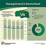 Mehr als die Hälfte des Dauergrünlands als Weiden genutzt