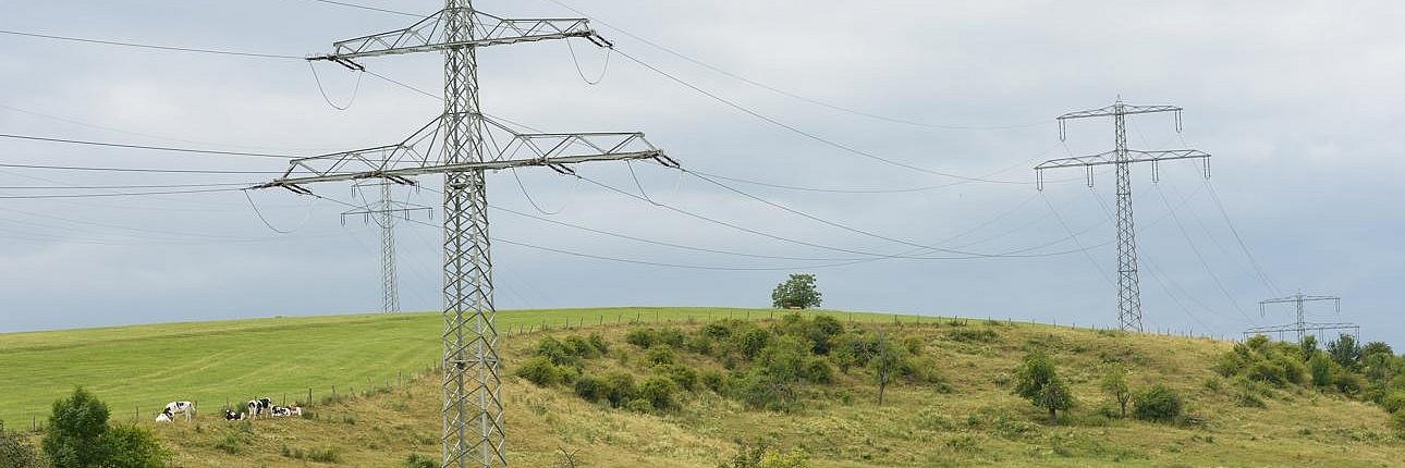 Strommasten auf Wiese