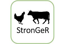 MuD Tierschutz: Abschlussveranstaltung im Projekt StronGer am 30. Oktober 2025
