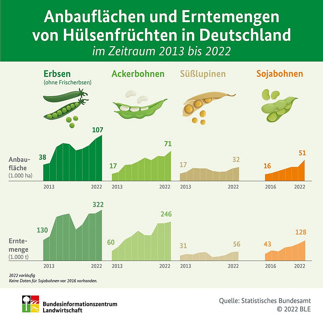 Infografik: Anbauflächen und Erntemengen von Hülsenfrüchten in Deutschland. Klick führt zu Großansicht im neuen Fenster.