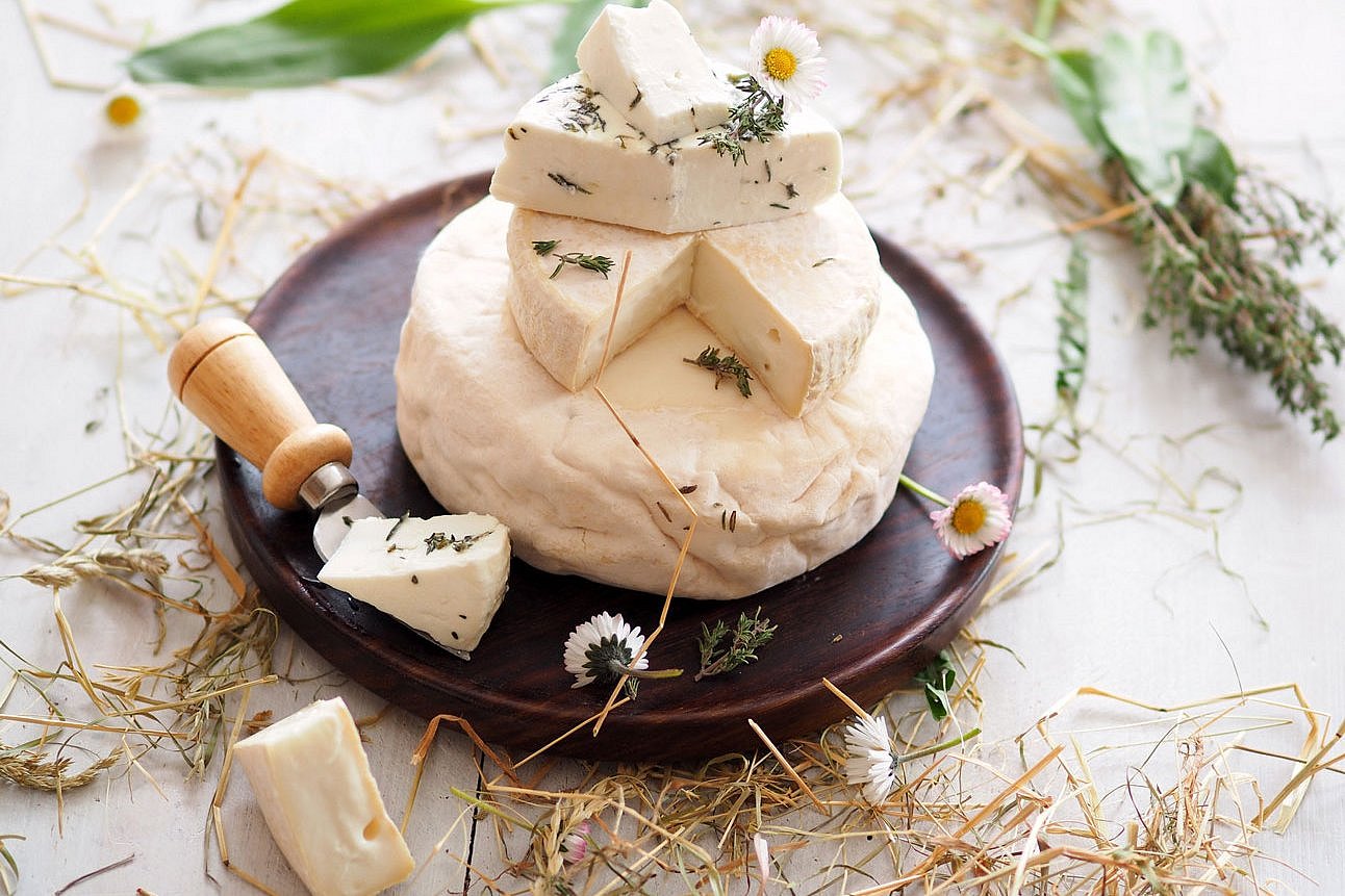 Ziegenkäse. Klick führt zu Großansicht im neuen Fenster.