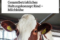 Neu: Gesamtbetriebliches Haltungskonzept Rind - Milchkühe 