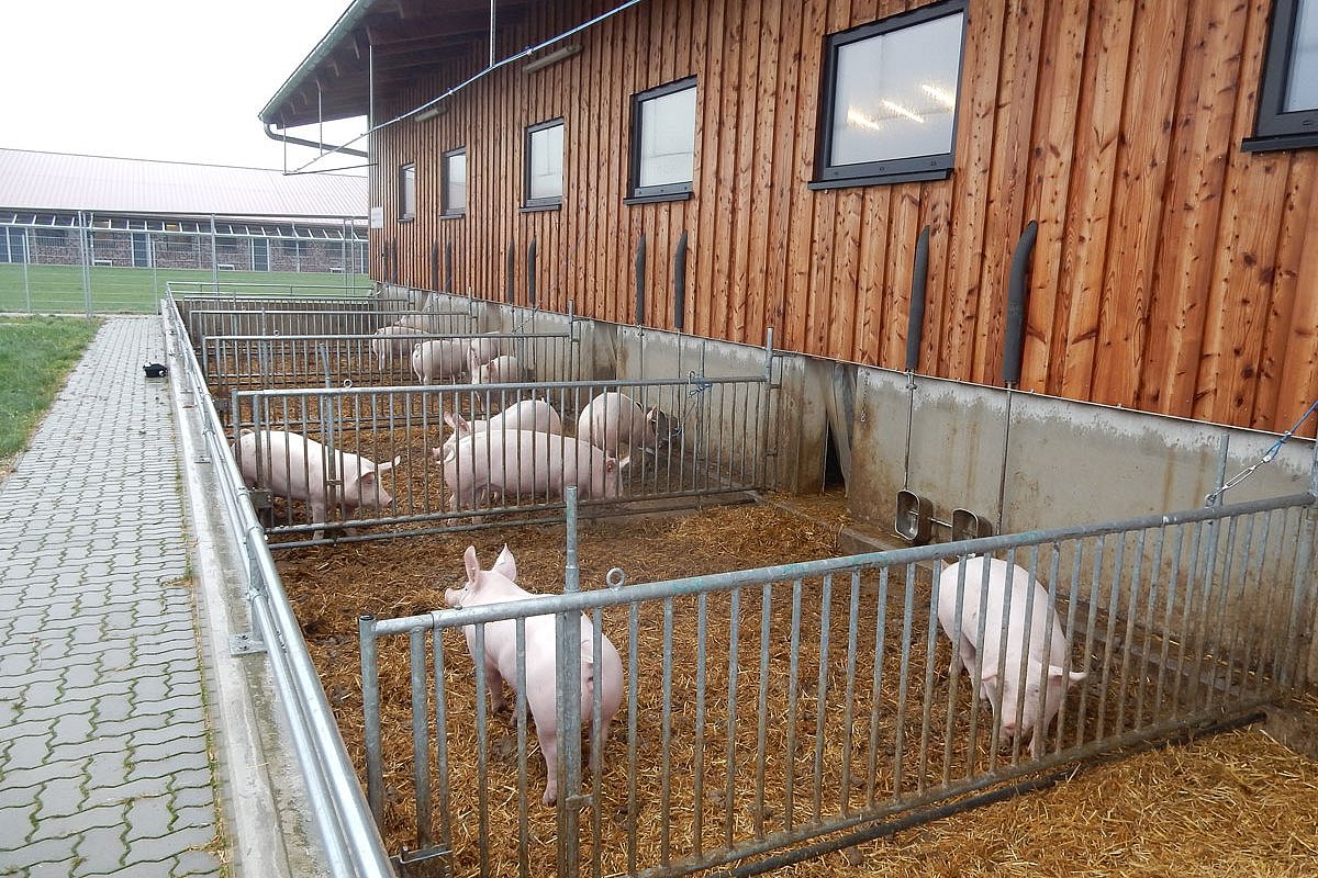 Beckentränken im Außenbereich. Klick führt zu Großansicht im neuen Fenster